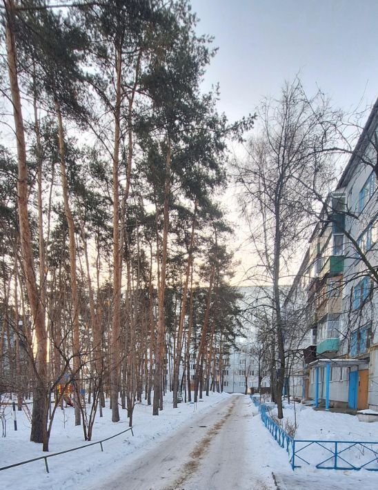 квартира г Сызрань пр-кт Королева 12 фото 5