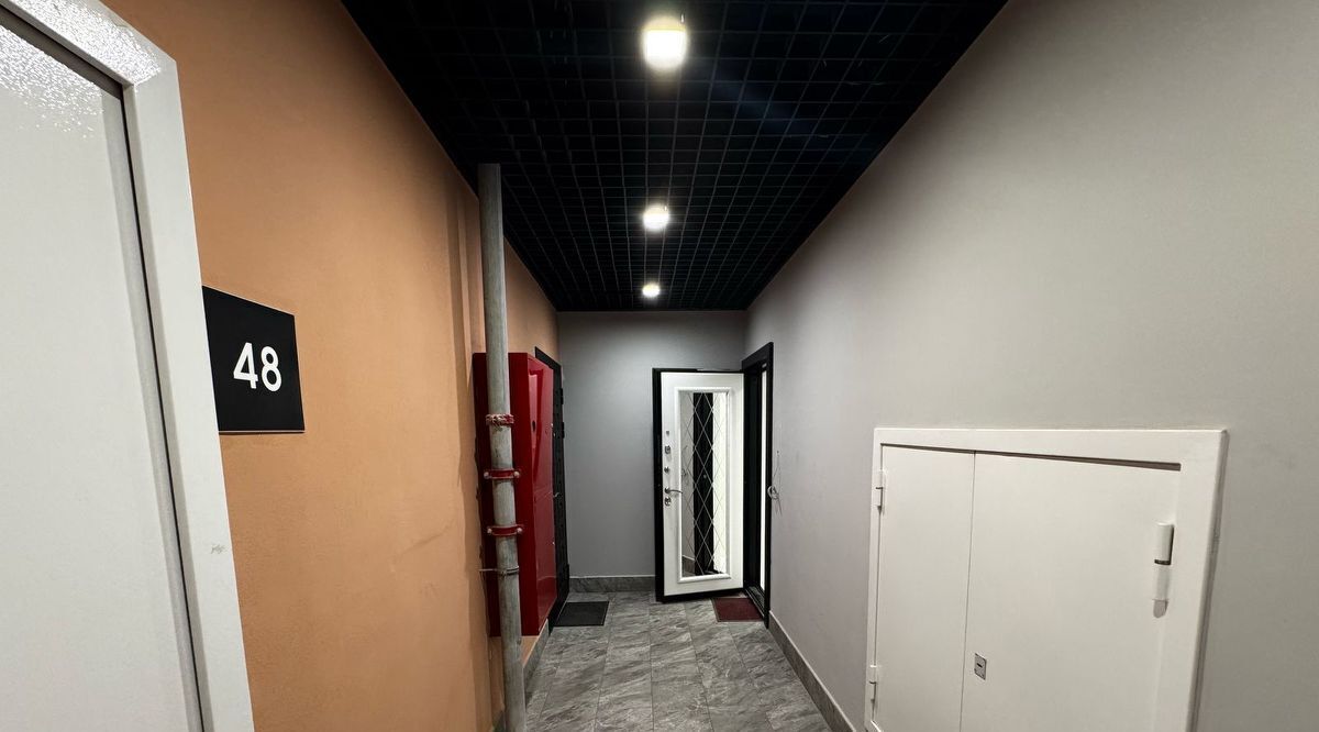 квартира г Балашиха мкр Новое Павлино ш Косинское 2 Некрасовка фото 24