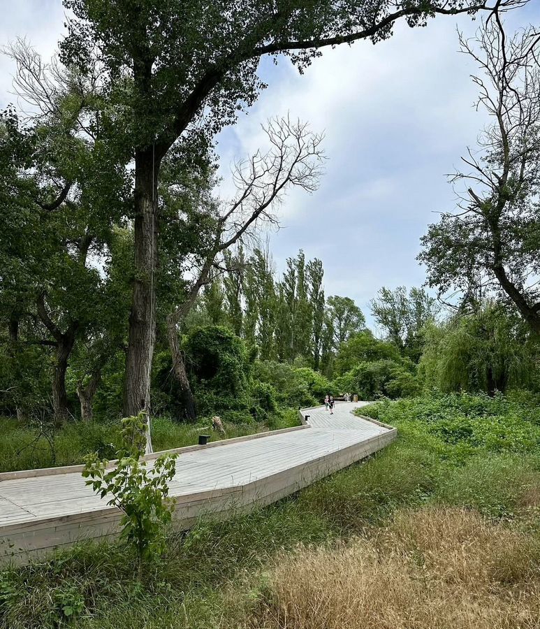 квартира г Махачкала р-н Кировский Благородная ул., 17 фото 11