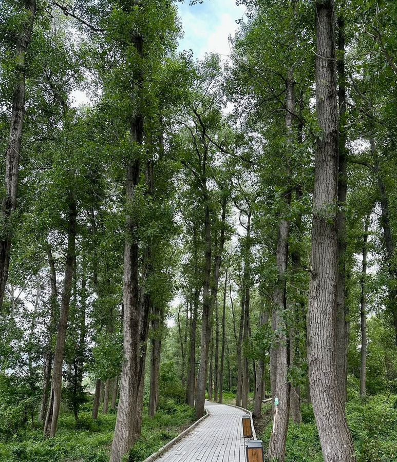 квартира г Махачкала р-н Кировский Благородная ул., 17 фото 14