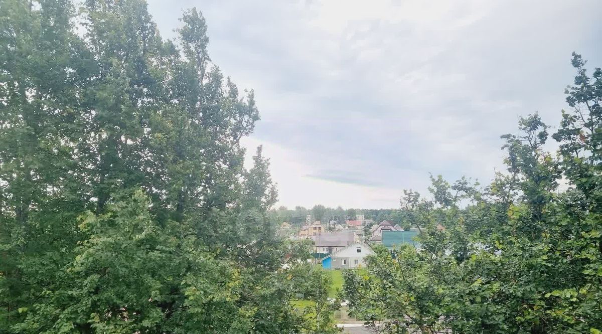 квартира р-н Ярцевский г Ярцево ул Гагарина 28 фото 13