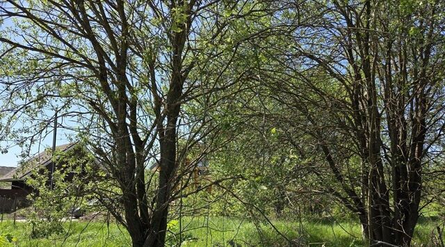земля с Хомяково Сергиево-Посадский городской округ фото