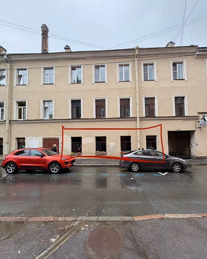 свободного назначения г Санкт-Петербург метро Горьковская пр-кт Кронверкский 51 округ Кронверкское, Петроградка фото 15