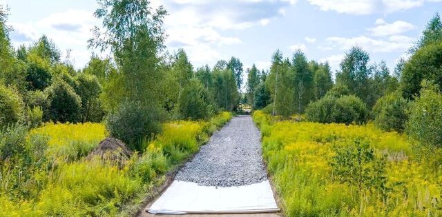 34 км, территория СНТ Лесные Поляны, 13, Ярославское шоссе фото