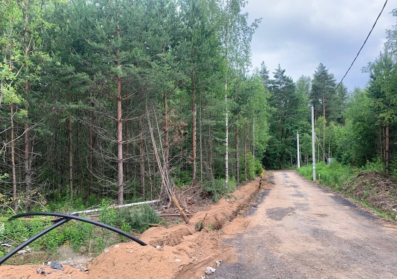 земля городской округ Пушкинский г Красноармейск 34 км, 20, СНТ Лепёшки, Ярославское шоссе фото 6