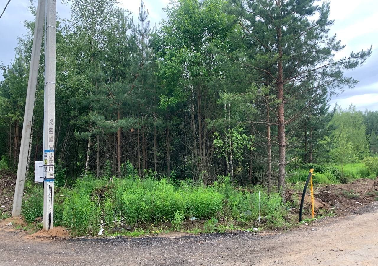 земля городской округ Пушкинский г Красноармейск снт Лесные Поляны-1 33 км, 49, Ярославское шоссе фото 9