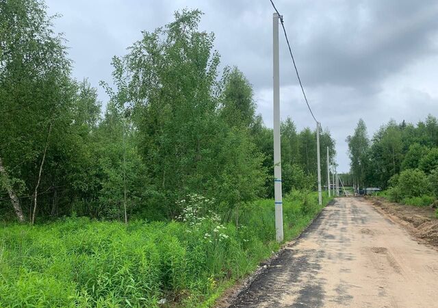 земля городской округ Пушкинский п Лесной 29 км, 49, СНТ Лесные Поляны, Ярославское шоссе фото