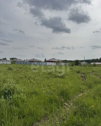 р-н Зареченский Яблочная ул., 24, с. Архангельское фото