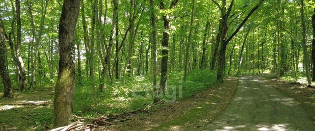 земля с Безымянное фото