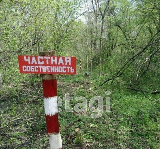земля ст-ца Суздальская фото