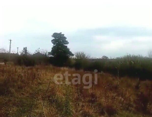 ст-ца Кутаисская фото