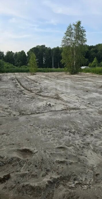 земля г Тюмень снт Поле чудес Пшеничный переулок фото 2