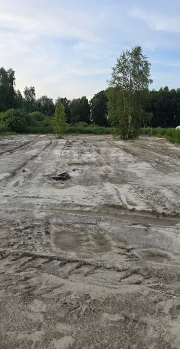 земля г Тюмень снт Поле чудес Пшеничный переулок фото 3