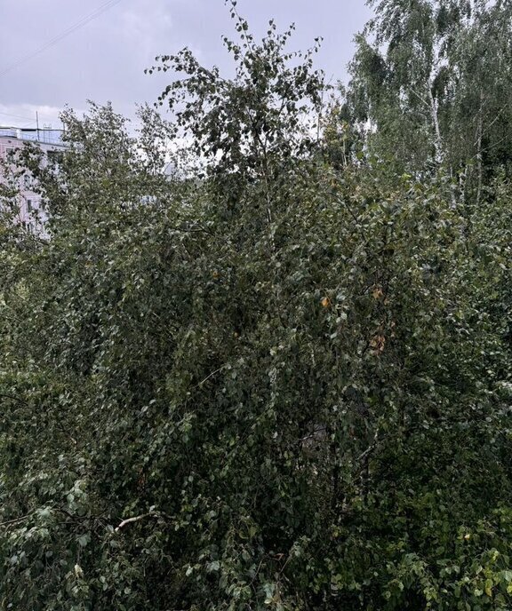 квартира г Москва метро Ясенево ул Голубинская 1с/1 13к фото 4