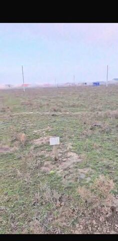 земля пгт Ленинкент земли совхоза имени Ленина фото
