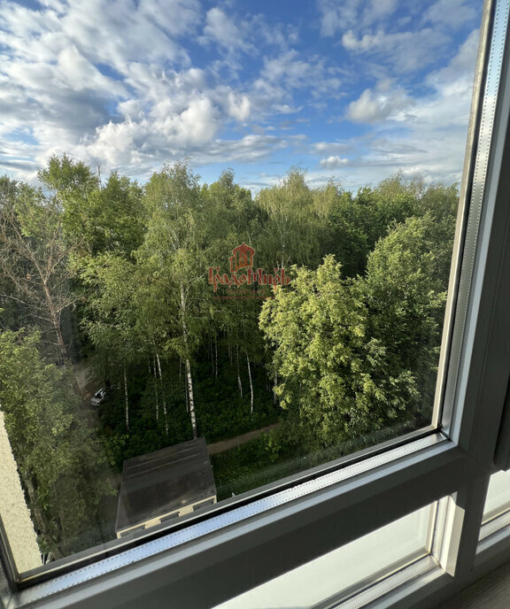 квартира городской округ Сергиево-Посадский г Хотьково ул Михеенко 25к/2 фото 13