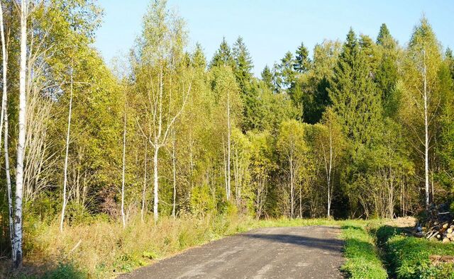 9756 км, Деденево, Дмитровское шоссе фото