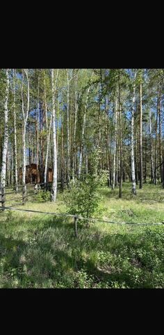 Буланаш фото