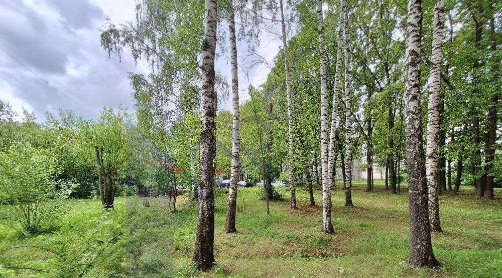 квартира г Нижний Новгород д Кузнечиха Горьковская ул Героя Быкова 3 жилрайон фото 4