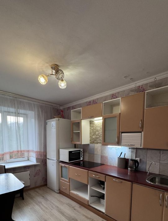 квартира г Колпино ул Пролетарская 42 Шушары фото 2