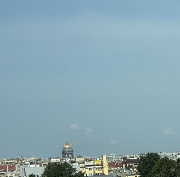 квартира г Санкт-Петербург метро Площадь Восстания ул Военная 18к/2 фото 25