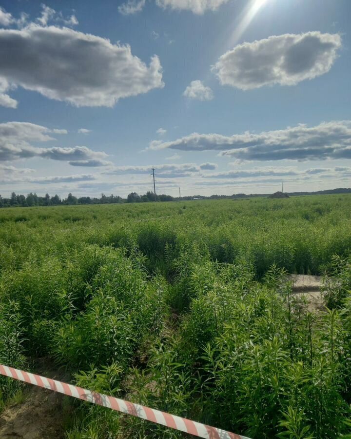 земля г Бор река Везлома фото 1