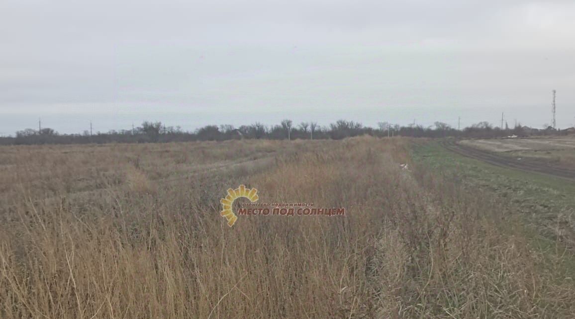 земля р-н Ейский г Ейск фото 2