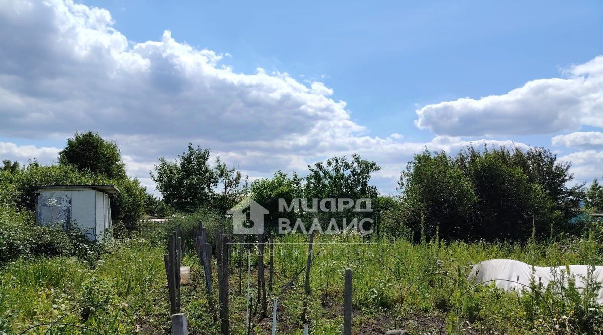 земля г Омск снт Здоровье Дружинское с/пос, 846, Омский район фото 4