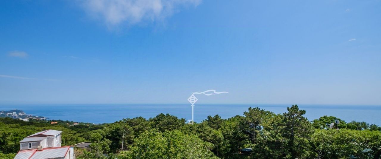 дом г Ялта г Алупка ш Южнобережное 16к фото 4