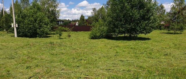 ул Центральная 38 24 км, Некрасовский, Дмитровское шоссе фото