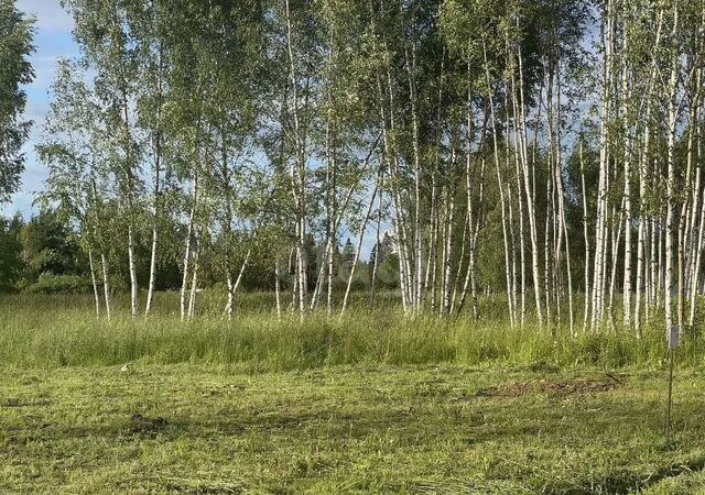 41 км, коттеджный пос. Капорки, Дмитровское шоссе фото