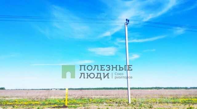 ул имени Василия Поленова фото
