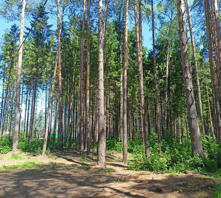 земля г Добрянка коттеджный посёлок Сотворение фото 1