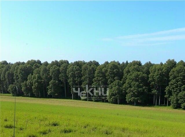 земля д Большая Свеча ул Центральная фото
