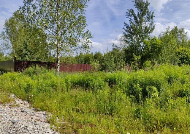 земля 48 км, массив Лесной Орешек-4, Горьковское шоссе фото