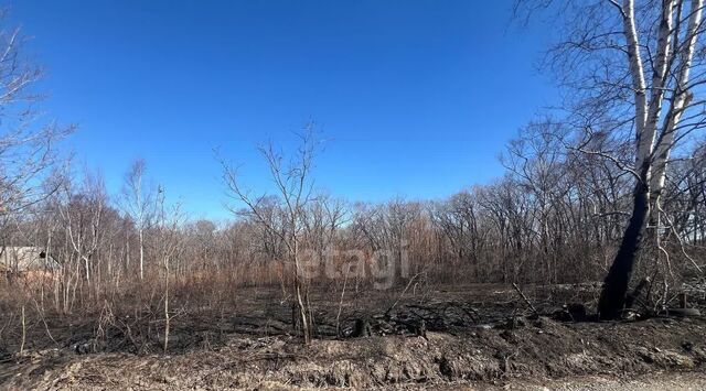 п Мирный снт Ветеран-3 фото