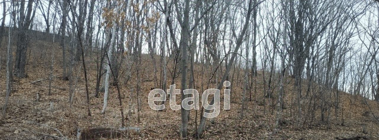 земля г Находка п Врангель ул Чистые ручьи фото 3