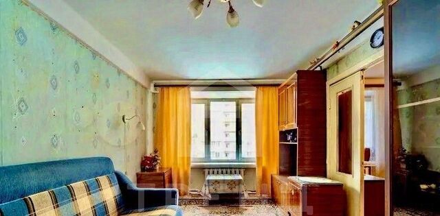 квартира Черная Речка ш Ланское 16к/2 фото