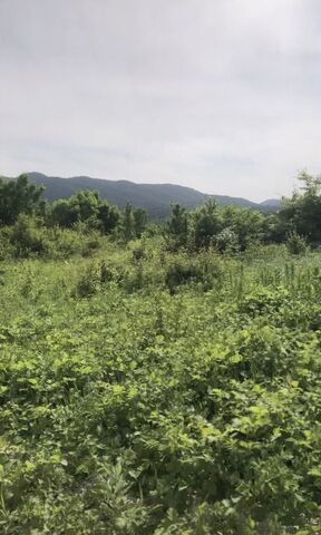 ул А.Закраилова 39 Дачу-Борзойское сельское поселение, Старые Атаги фото