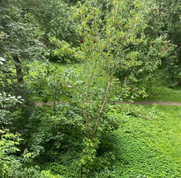 комната г Реутов ул Гагарина 22 Реутов фото 21