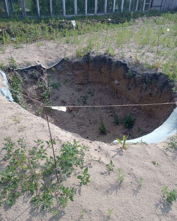 земля г Омск снт Звездочка Черлакский тракт, 4-я аллея, 122 фото 6