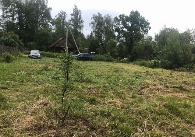 направление Казанское (юго-восток) ш Егорьевское 91 км, 46Н-02074, Егорьевск фото