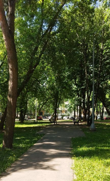 квартира г Москва метро Беляево ул Генерала Антонова 7к/2 муниципальный округ Коньково фото 18