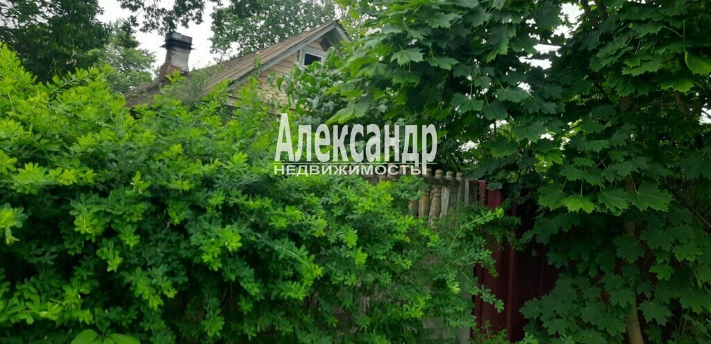 дом г Сестрорецк ул Мосина Беговая фото 3