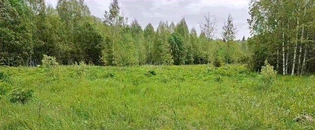 днп Пареево фото