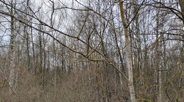 городской округ Чехов д Ваулово фото
