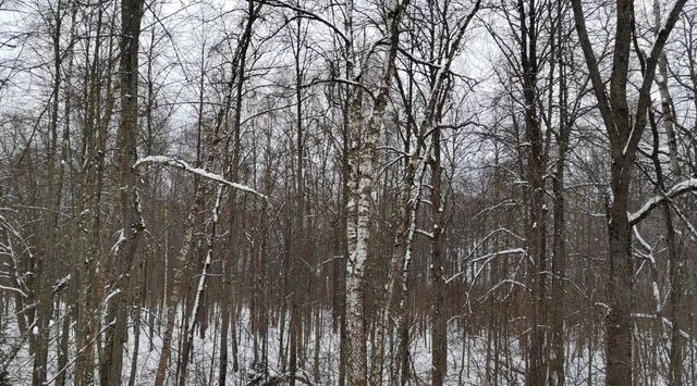 городской округ Чехов д Ваулово 51 фото