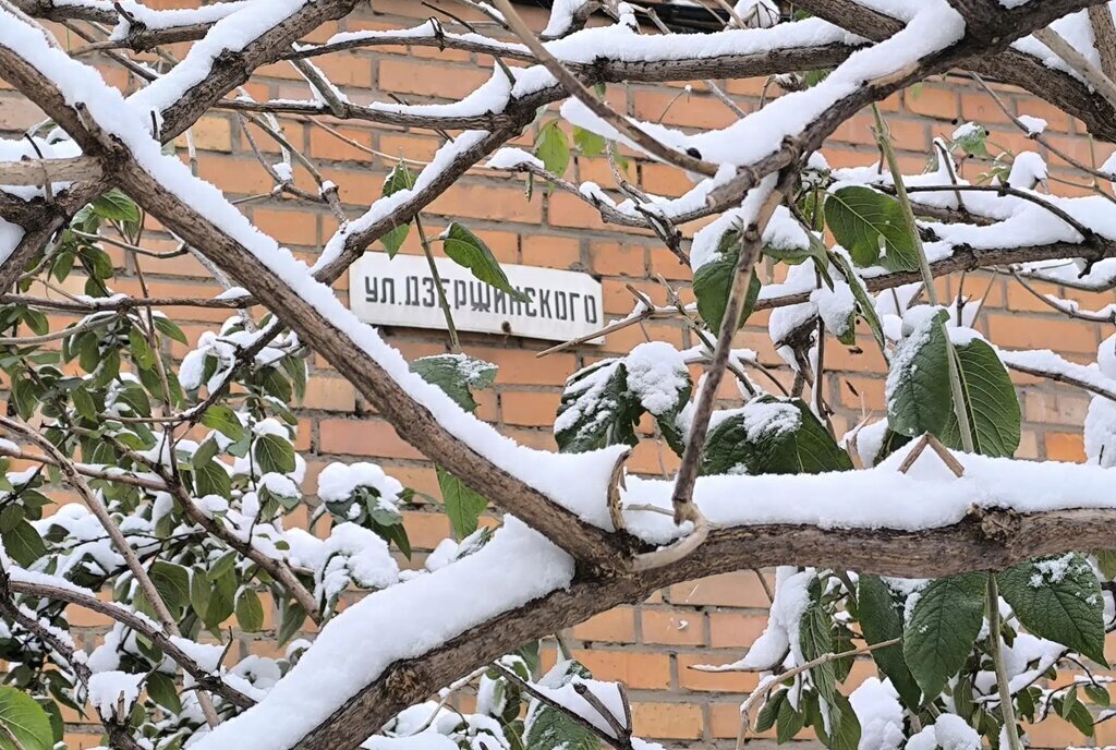 квартира г Коломна ул Дзержинского 4 фото 1