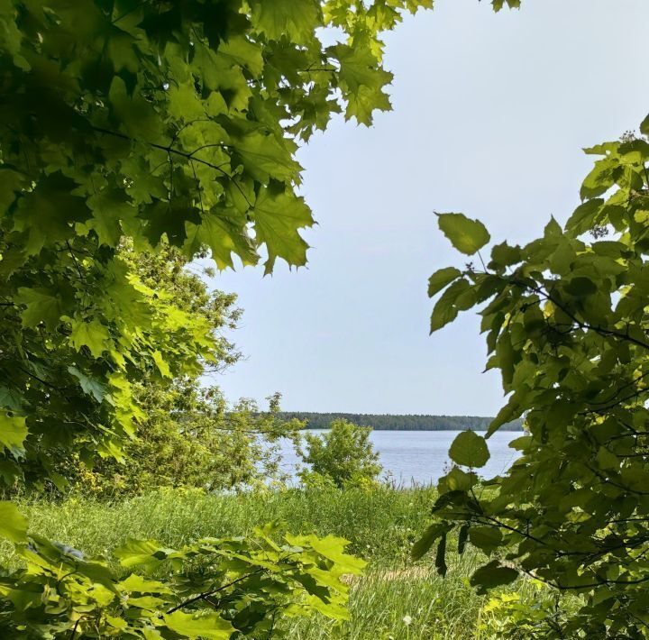 земля г Мытищи Юрьево Парк кп фото 3