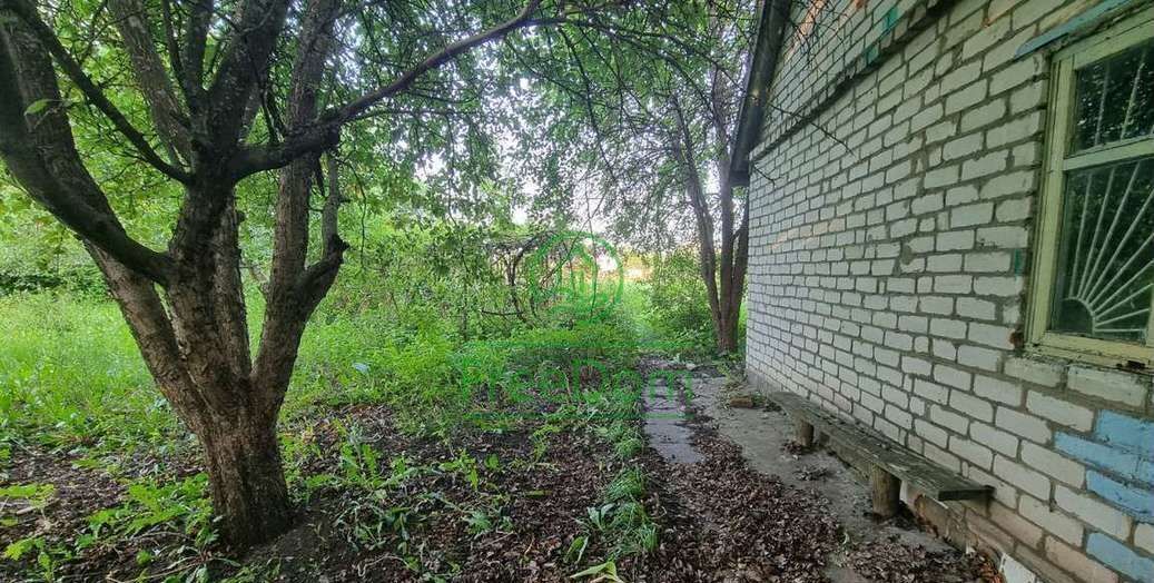 земля р-н Яковлевский г Строитель ул Белгородская фото 3